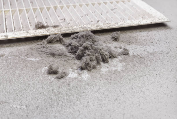 Best Affordable Air Duct Cleaning  in Union Springs, AL