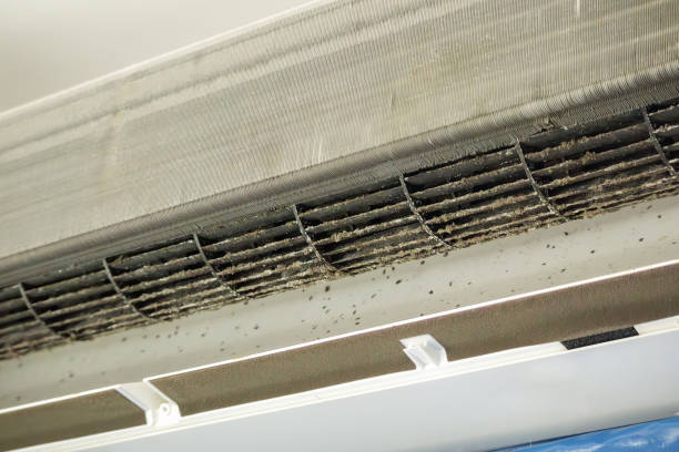 Best Professional Duct Cleaning Services  in Union Springs, AL